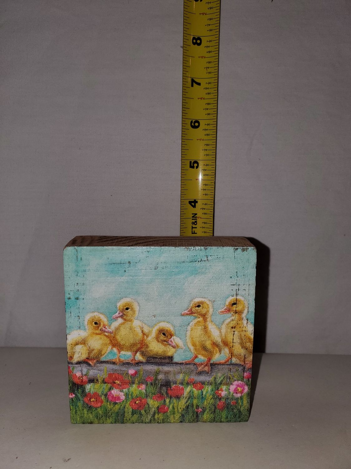 Block Sign, Ducklings