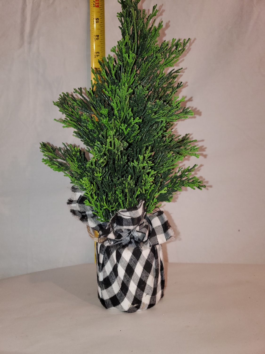 Tree, Cedar Plastic checked base