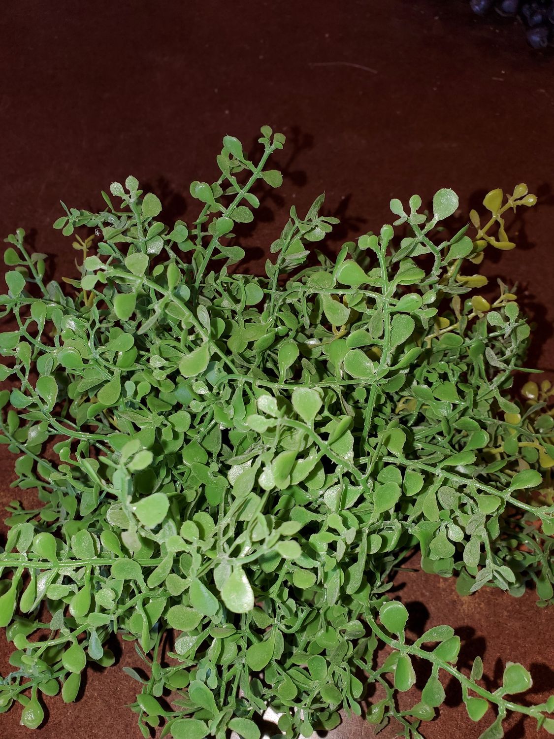 Leaf Mound, Angel Hair 8" sp green
