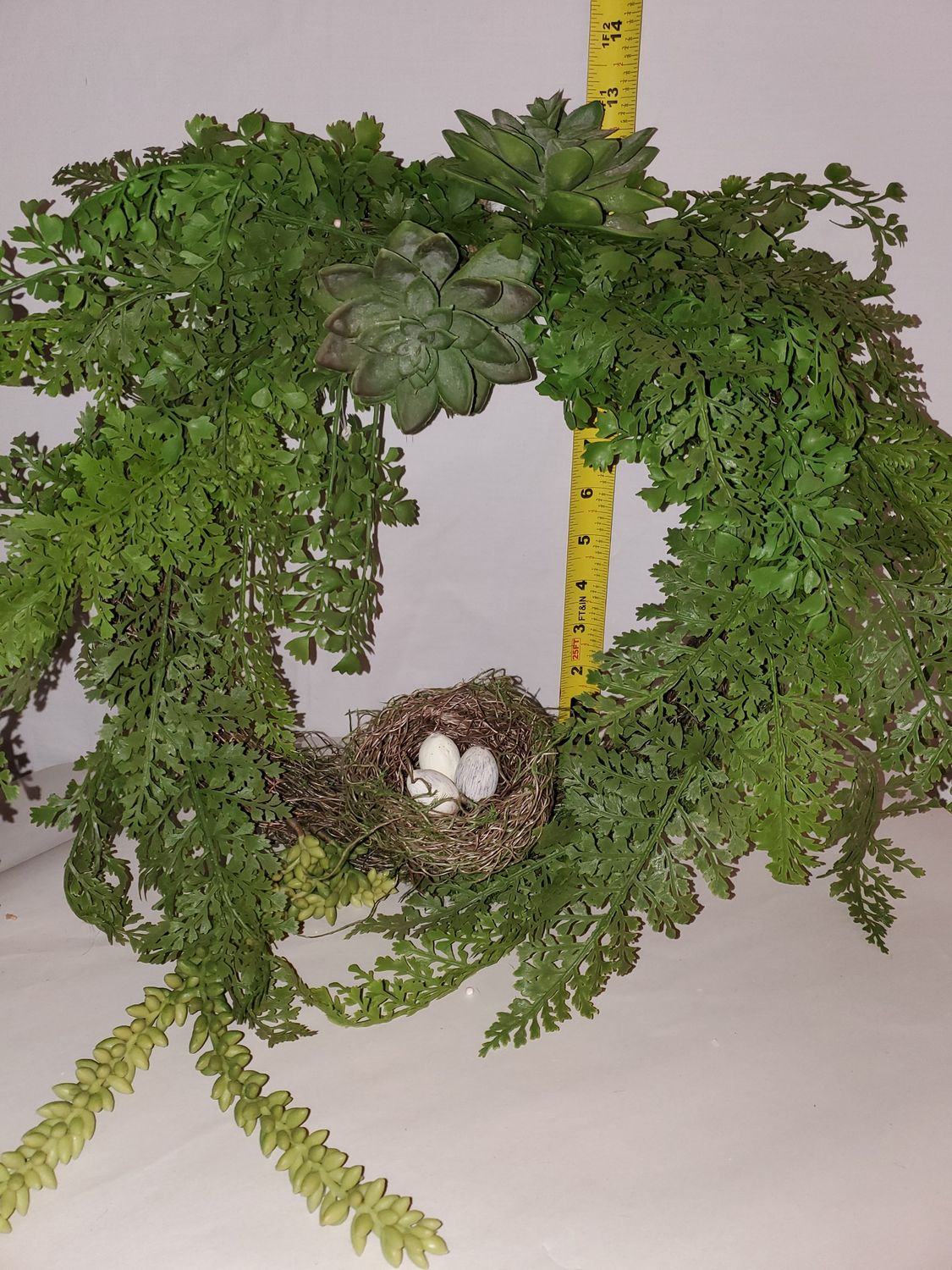 Wreath, Succulent w/Nest 16" green
