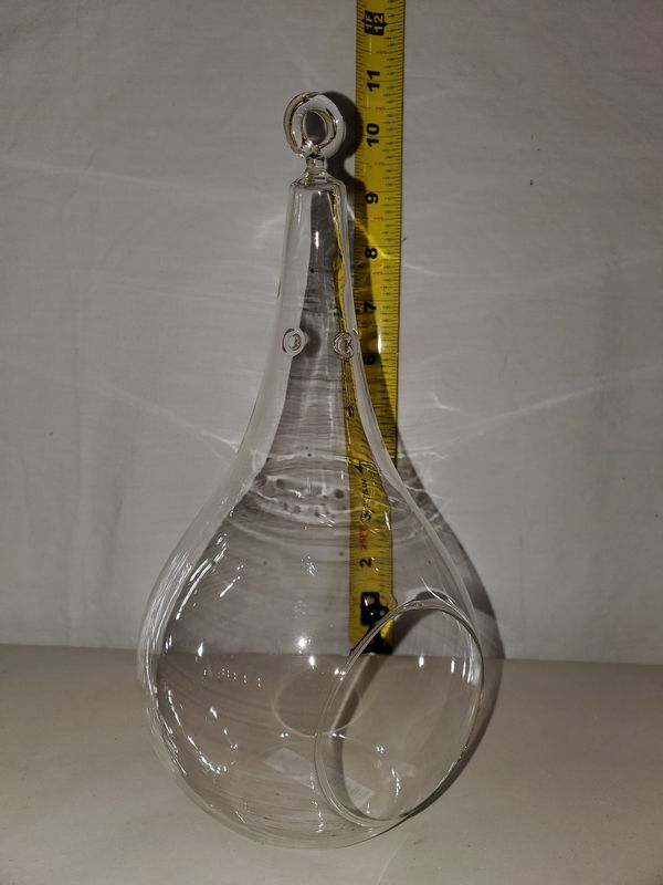 Terrarium, Pear Hanging 10&quot;