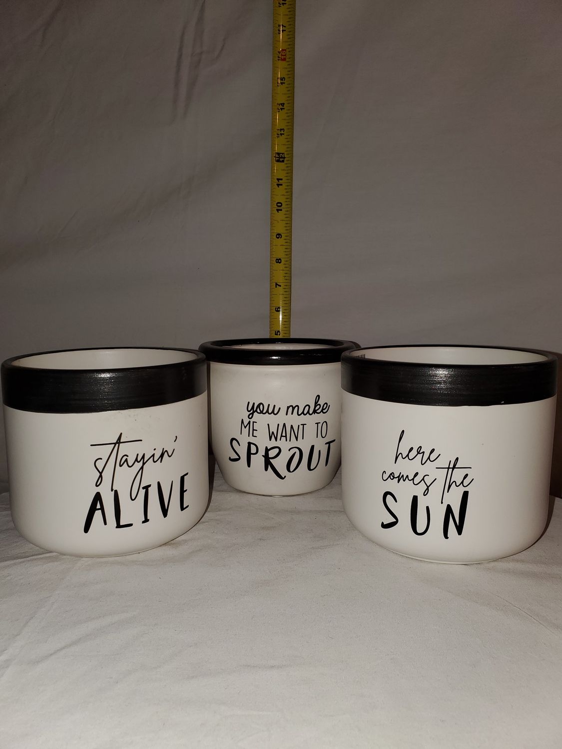 Planter, B/W Phrase Wht/Blk Strp