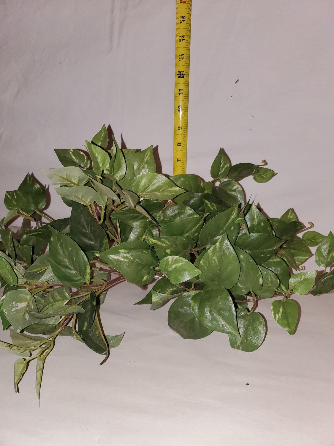 Faux, Pothos Bush