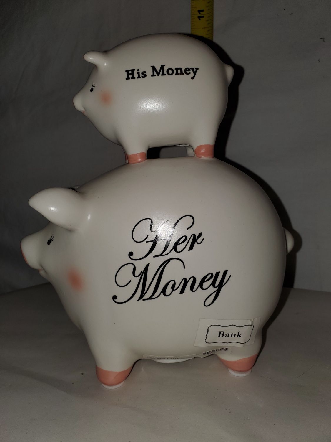 Piggy Bank, His/Her Money