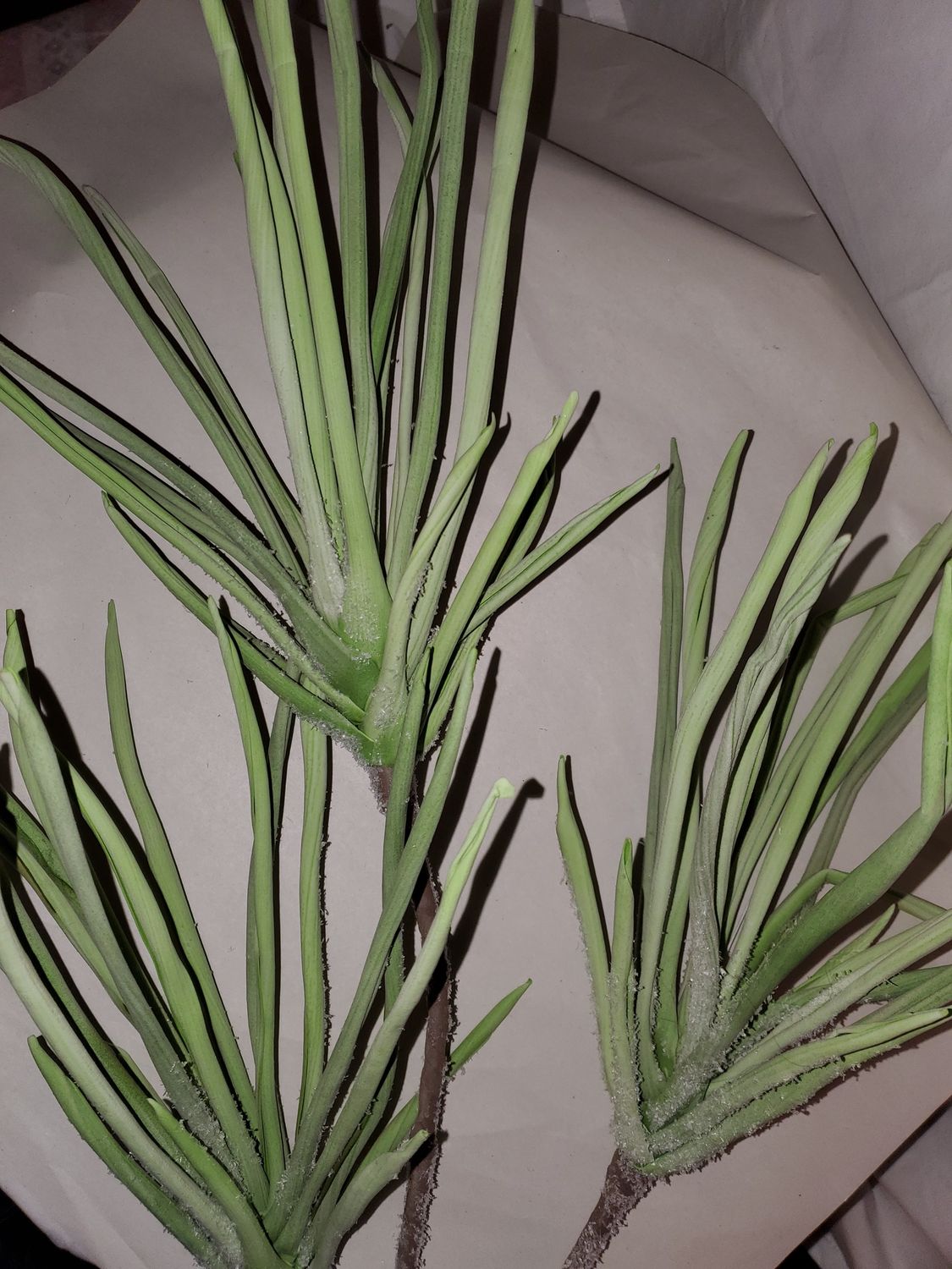 Spray Artificial Sage Grass 45" green