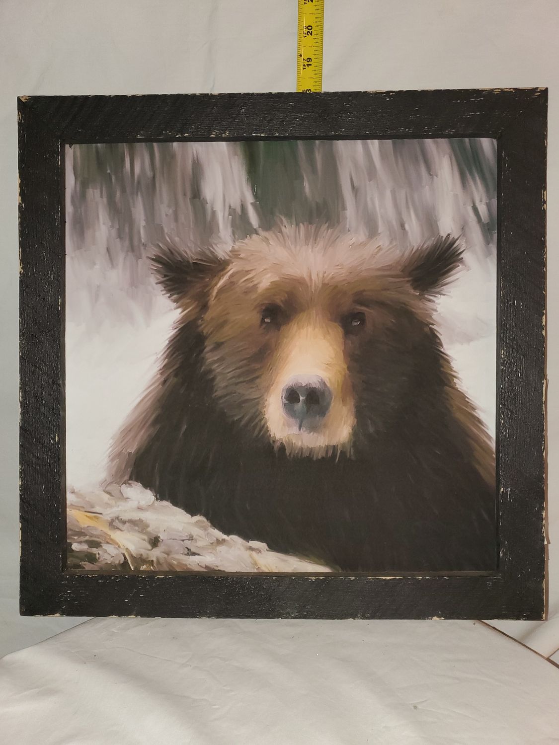 Picture, Grizzly 18x18 wd frm