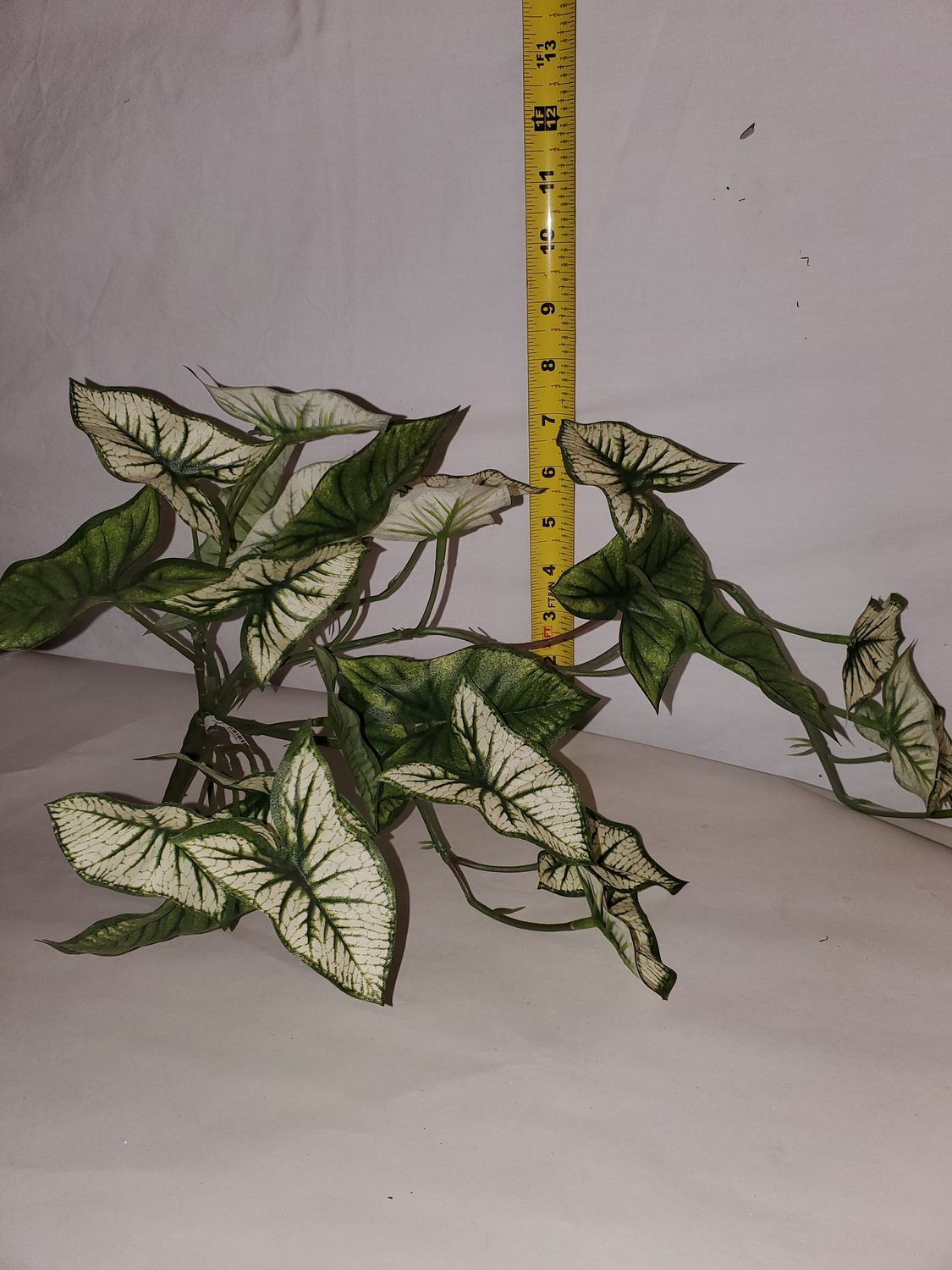 Faux Greens, Syngonium 18"