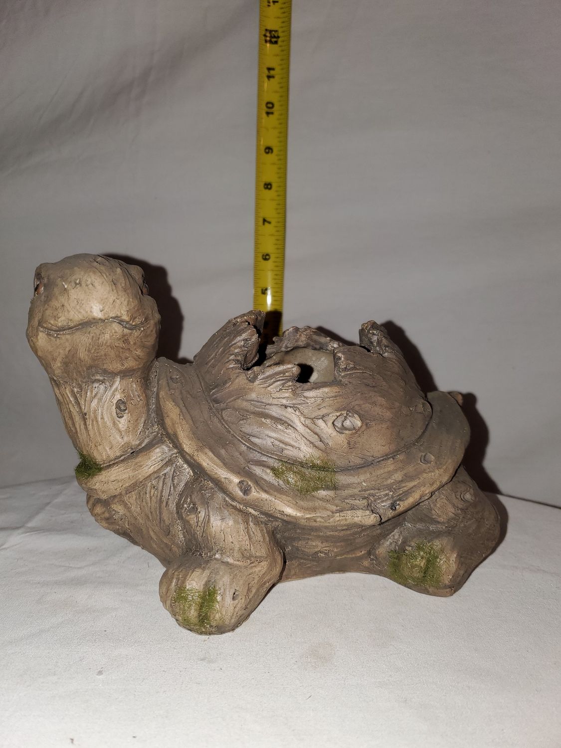 Planter, Turtle mossy