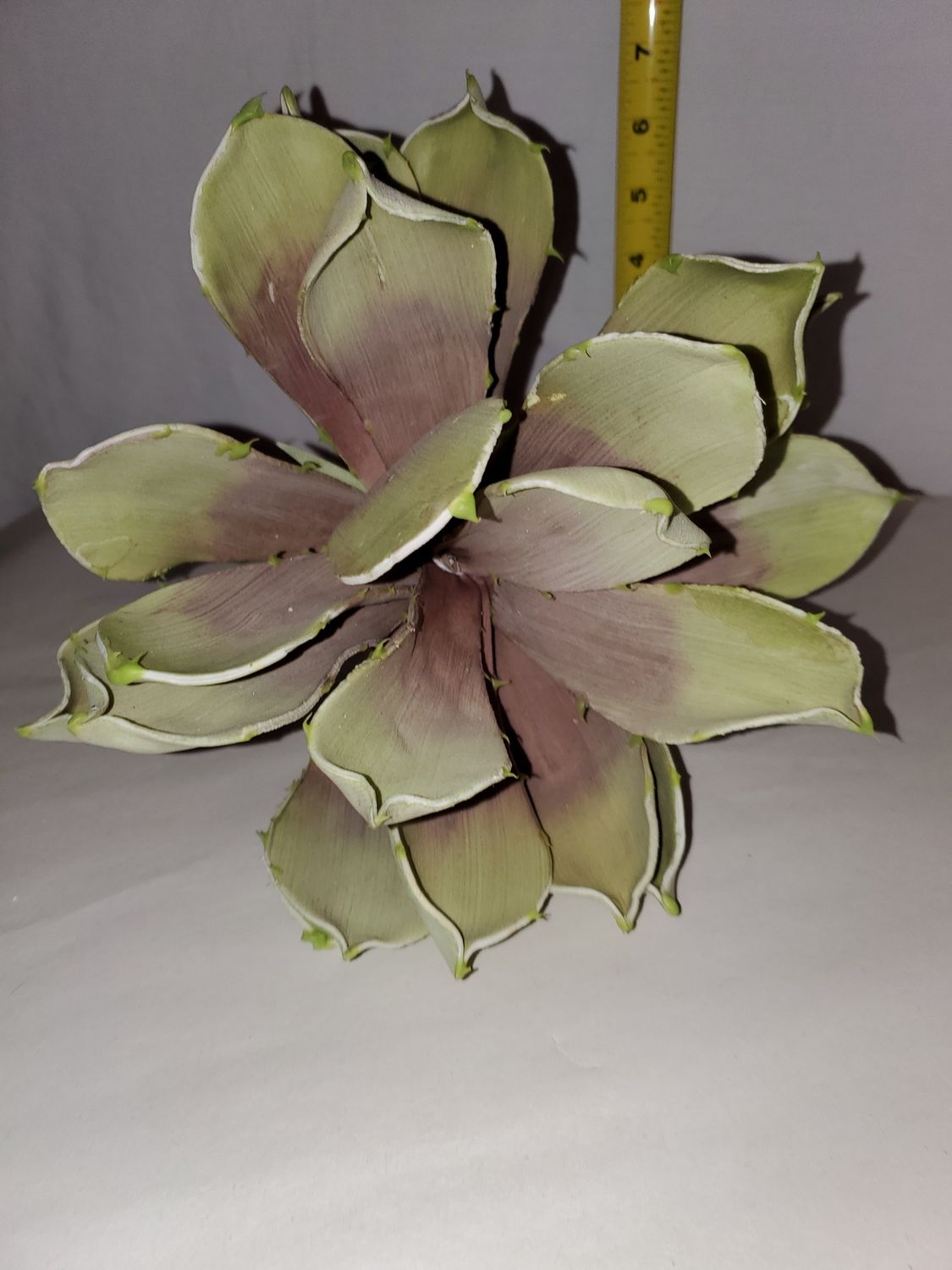 Stem, Purple Green Foam 9"