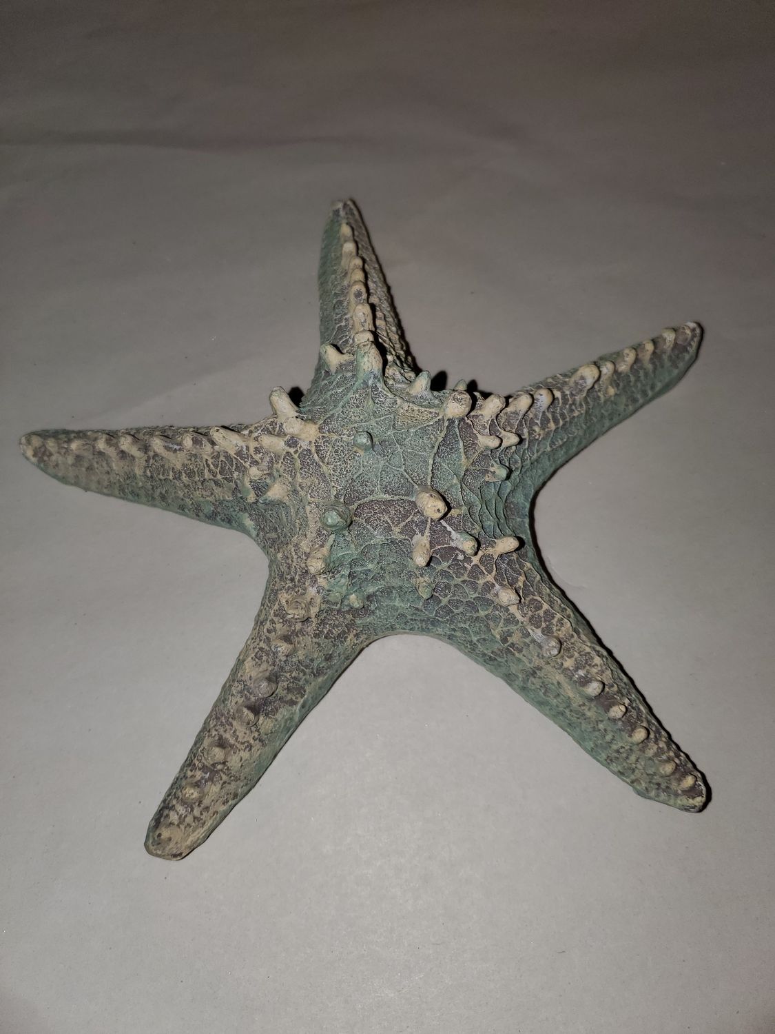 Wall Plaque, Starfish 8"