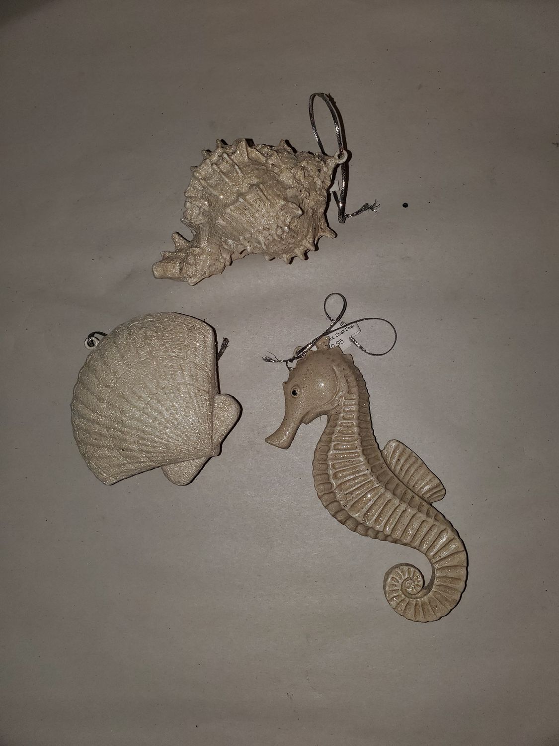 Ornament, Shell Seashell 6" nat/frost