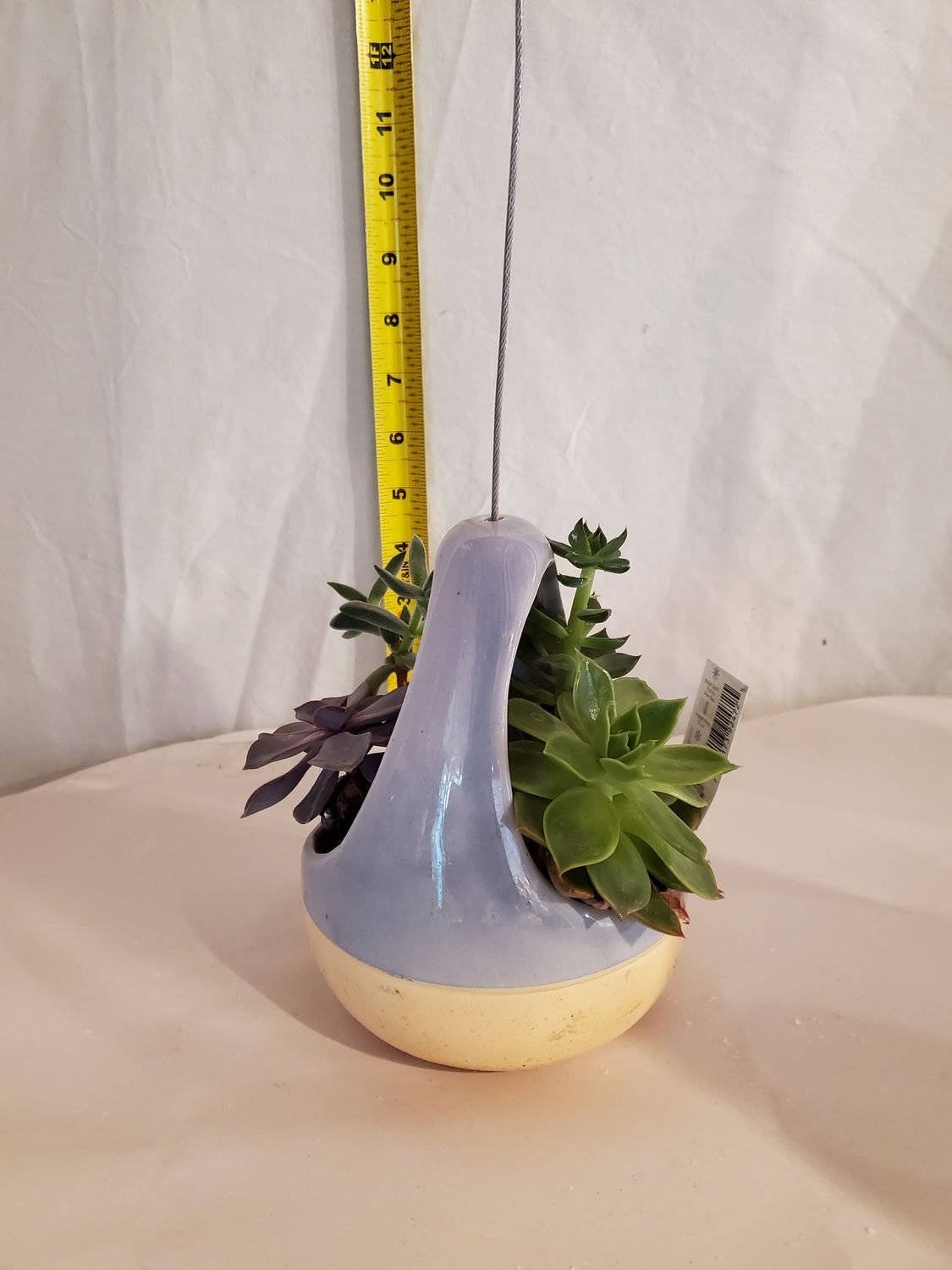 Succu Planter, Teardrop 4.5"