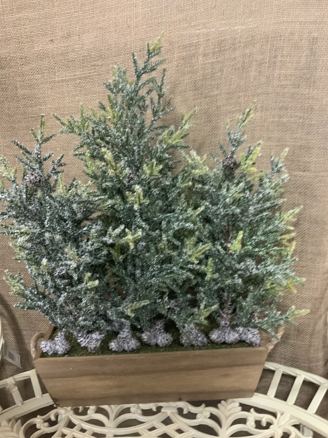 Planter, Tree In 20" Mini Fir