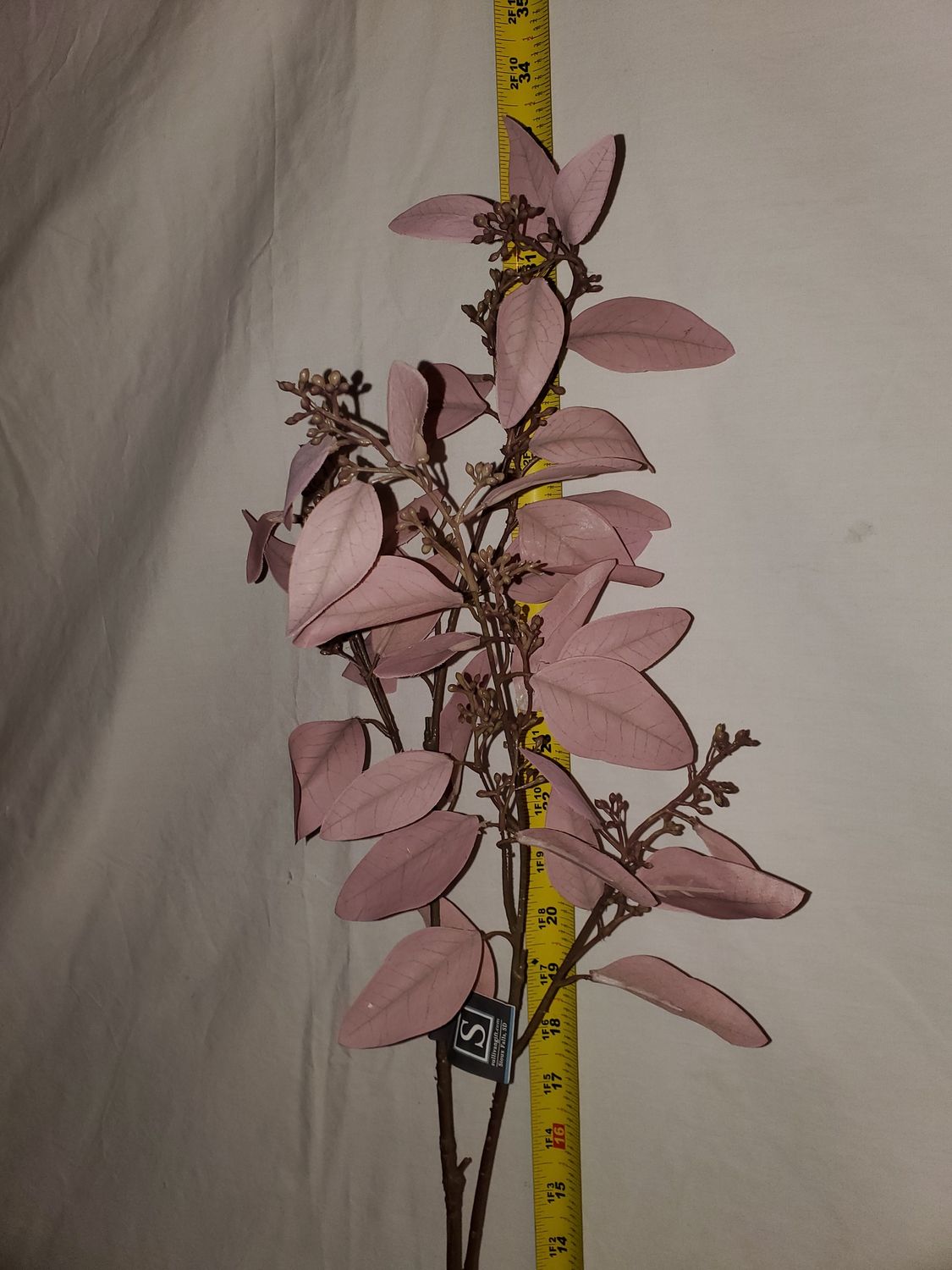 Stem, Eucalyptus Purple, 34"