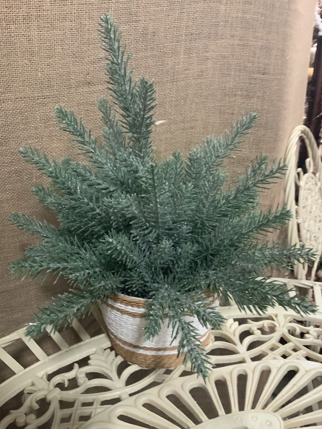 Tree, in Basket Ass't 16" 2 asst