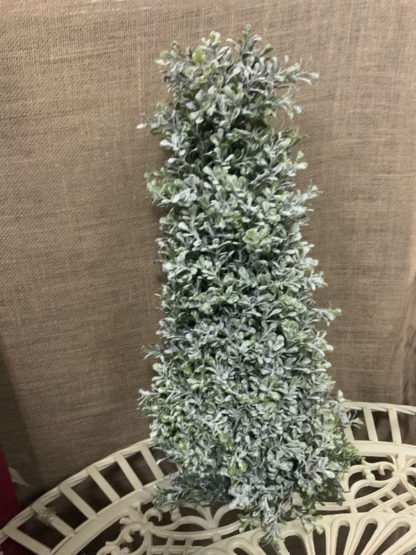 Cone Tree, Frosted Boxwood 18&quot; green