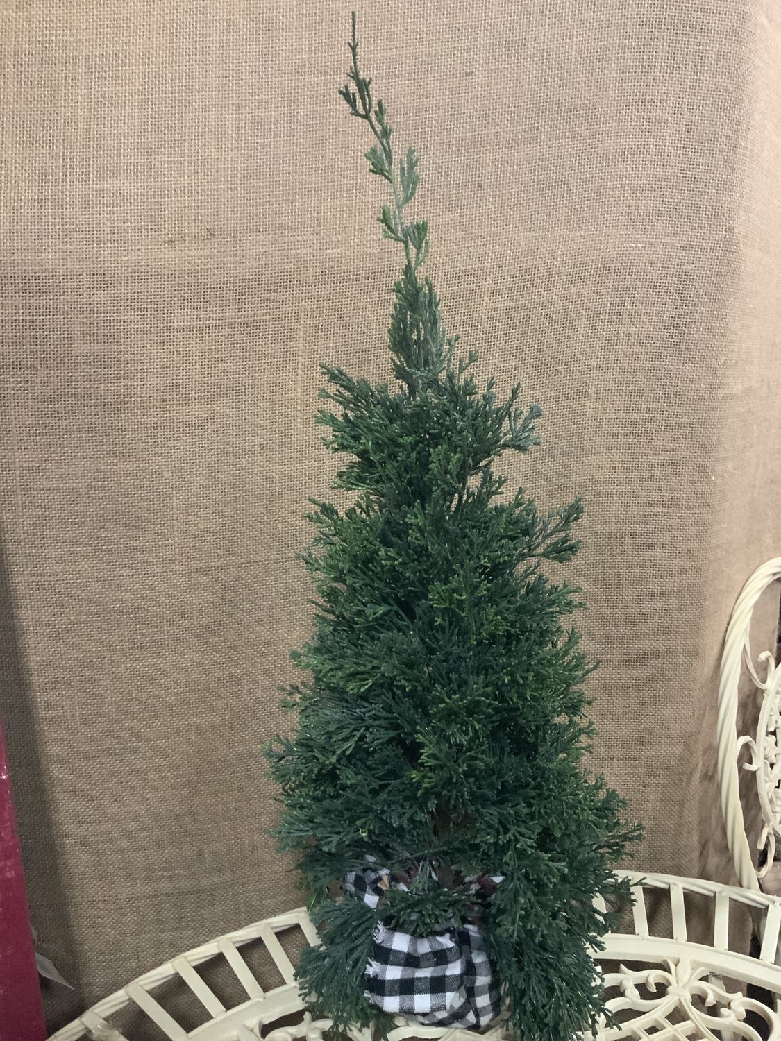 Tree, Cedar in B/W Checked Base 24" plastic