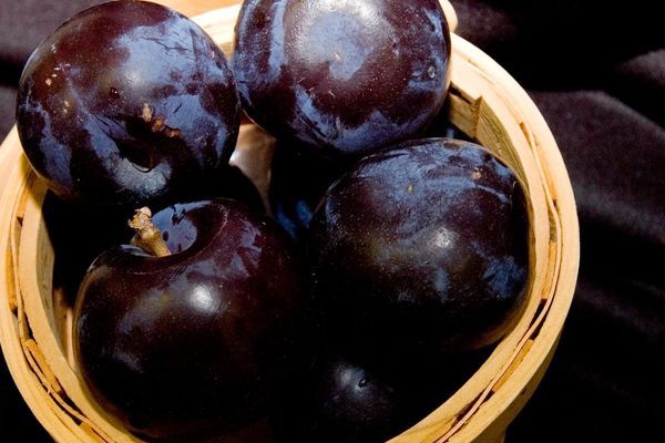 plum, black ice