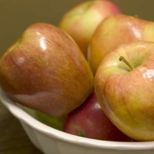 apple, honeycrisp 10 gal