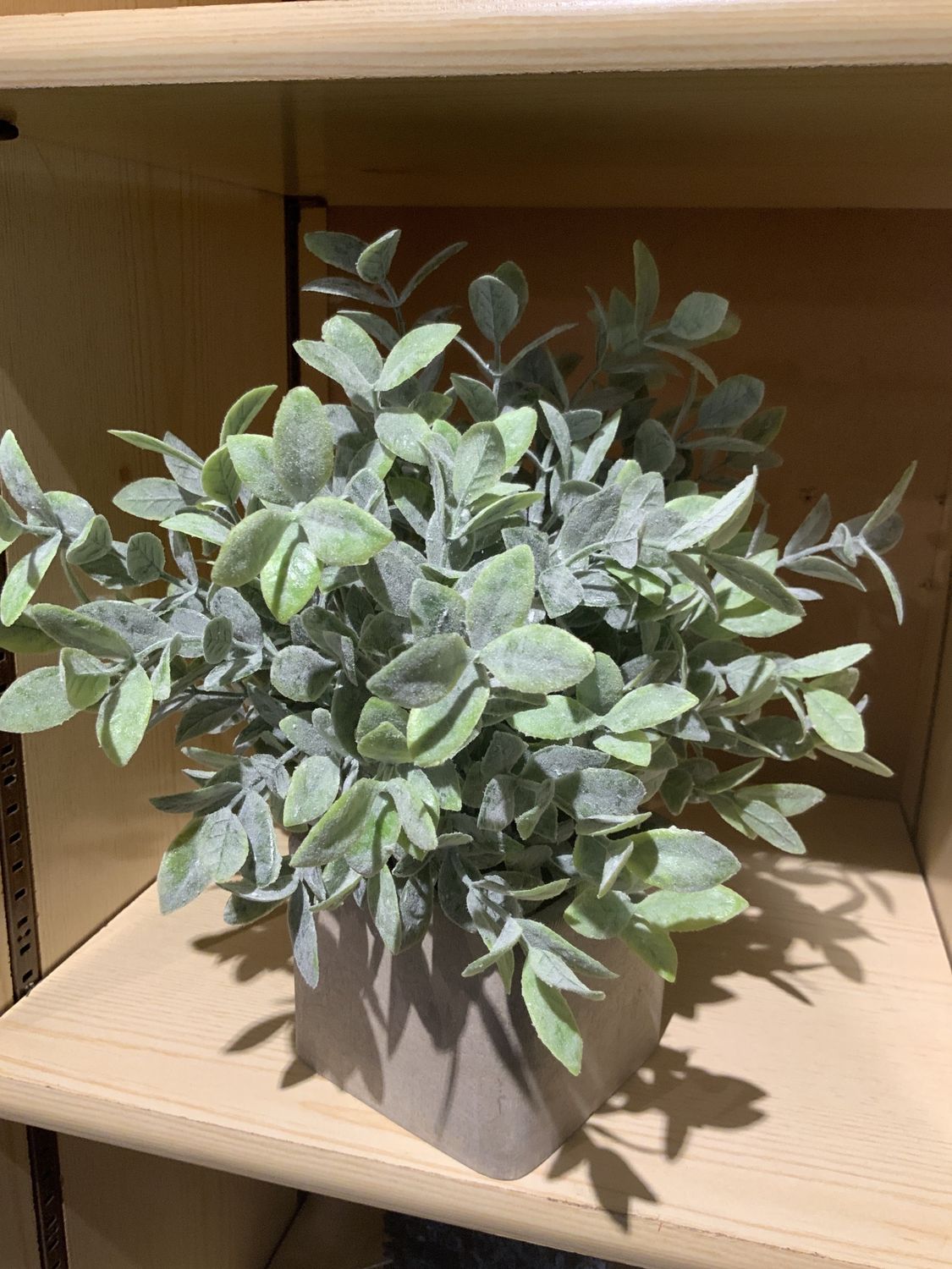 Potted Sage, Artificial Frosted Bush in Sq. Pot
