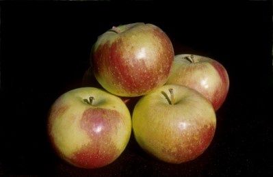 Apple, Wodarz 1&quot;
