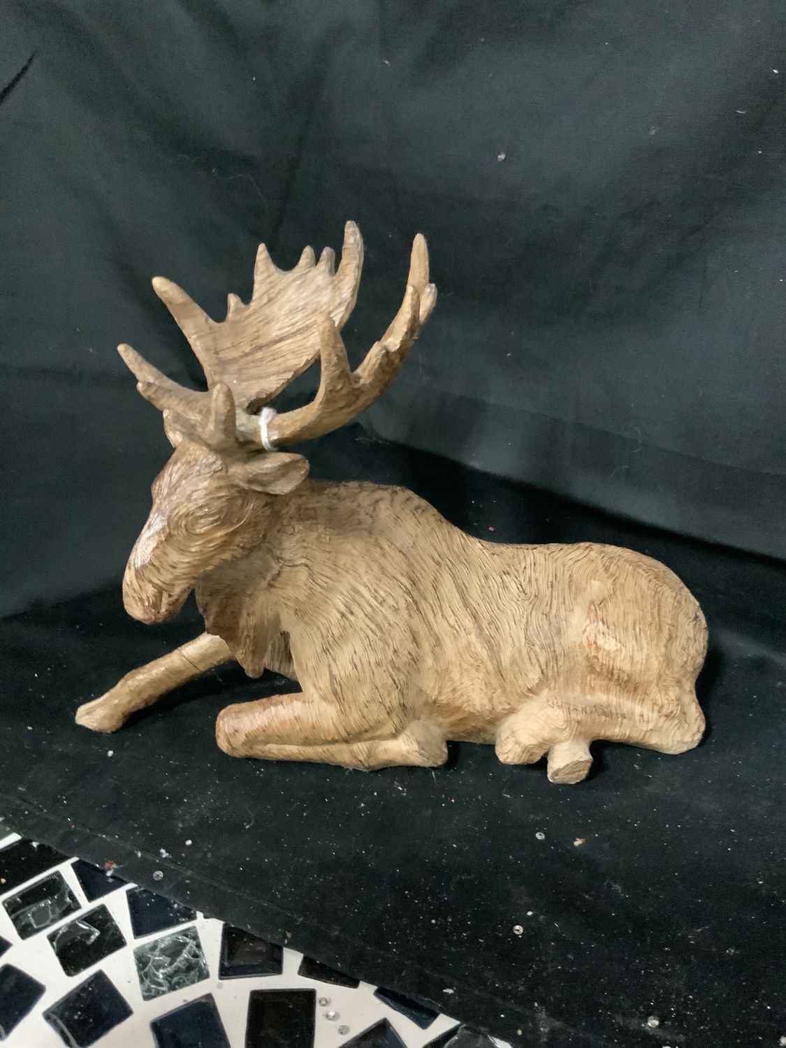 Moose, Woodland Brown 2 ass't Brwn