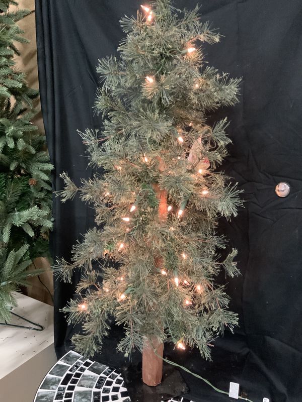 Tree, Alpine Pencil 3&#39;