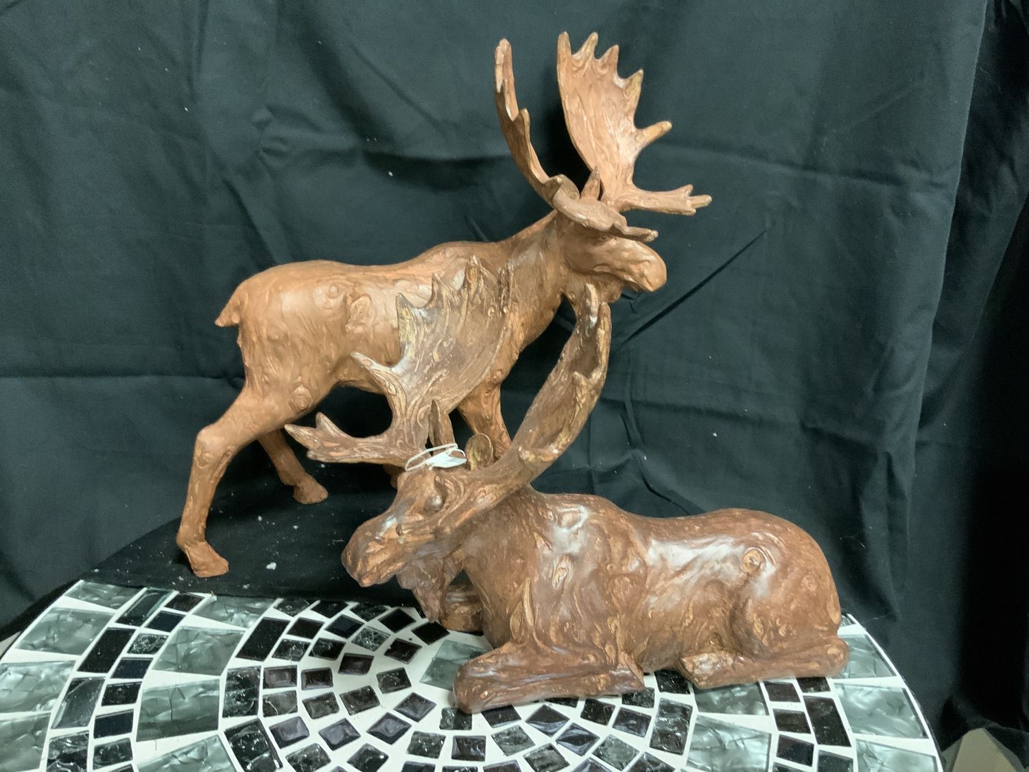 Moose, S/2 Natural sit/standing