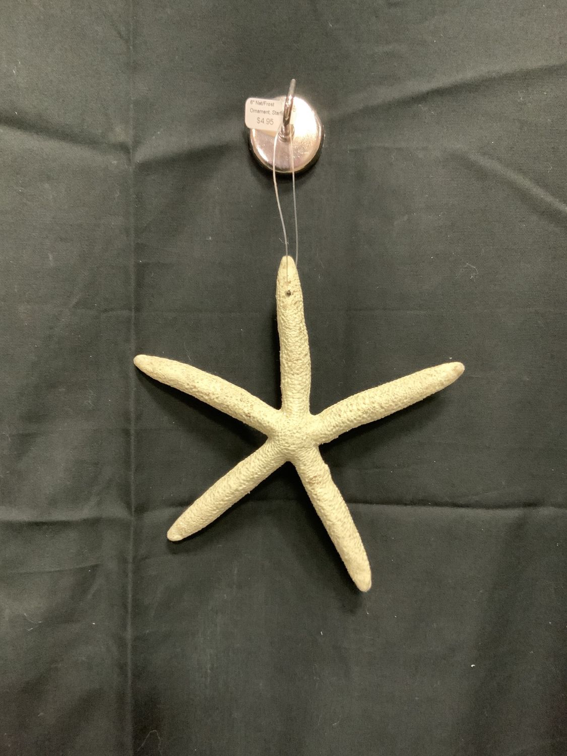 Ornament, Starfish 6" Nat/Frost