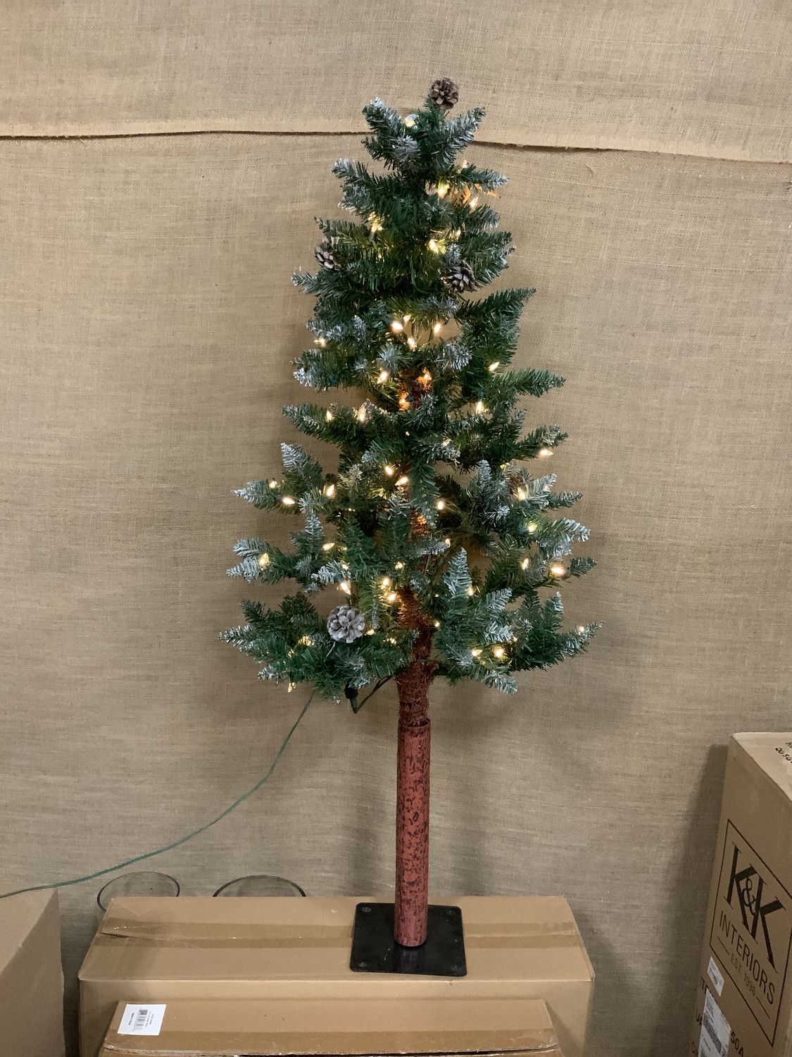 Tree, 4&#39; Pine on Base Lights&amp;Cones