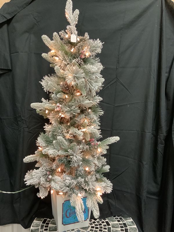 Tree, Vermont Potted Ber/Cones 4&quot; 100 lits