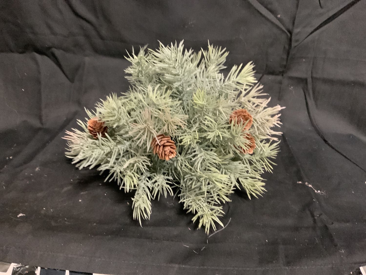 Half Orb, Angel Pine 6"