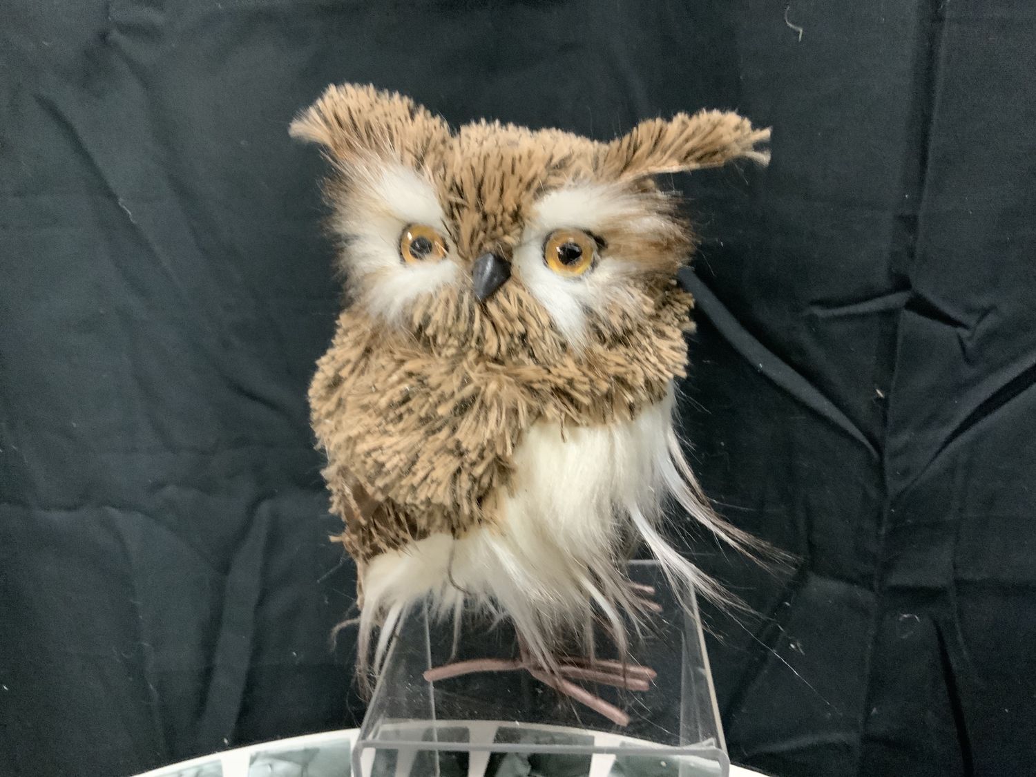 Owl, Brown Barn 7"