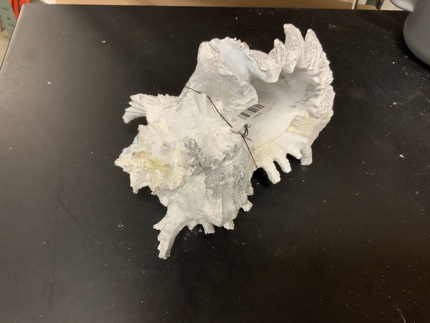 Figurine, Seashell 8" horned