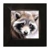 Picture, Raccoon Portrait