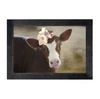 Picture, Baby Cow w/Flowers