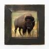 Picture, Buffalo