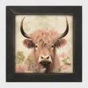 Picture, Tan Highland Cow Sq.