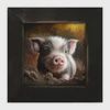 Picture, Baby Pig XSM