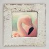 Picture, Flamingo