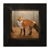Picture, Standing Fox XSM