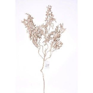 SPRAY, GLT BOXWOOD 31"TAUPE CHAMP