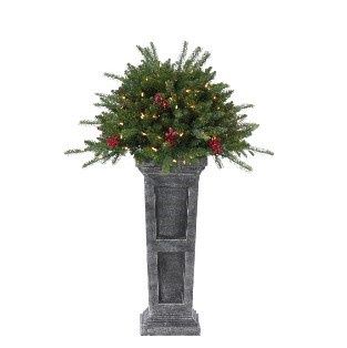 TREE, POTTED URN 4'36"GREEN