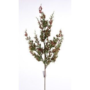 SPRAY, JUNIPER BERRY SPRAY 28"RED GRN