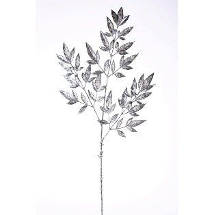 STEM, NANDINA GLT 32"PLATINUM
