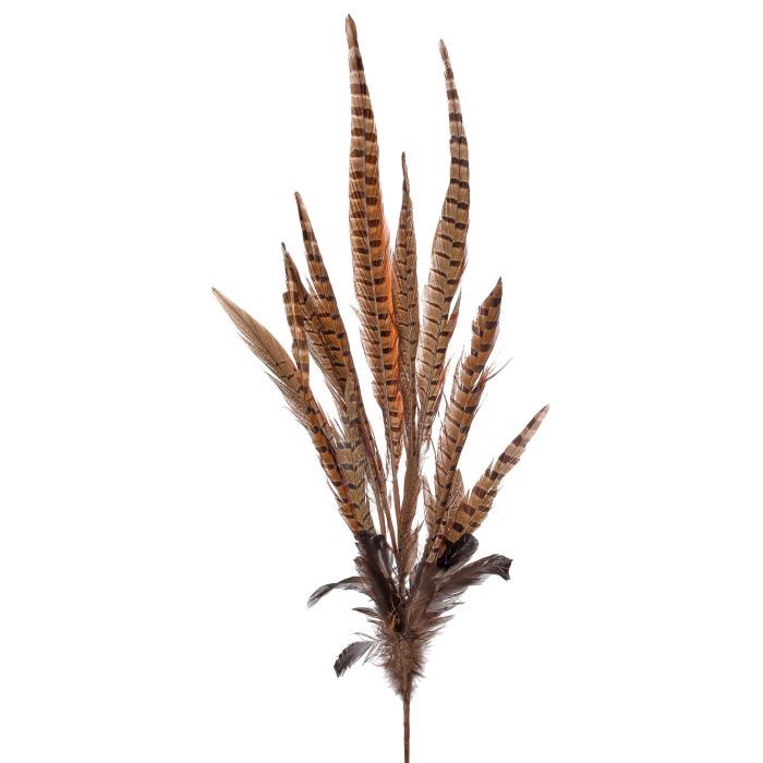 Spray, 30&quot; Pheasant Feather