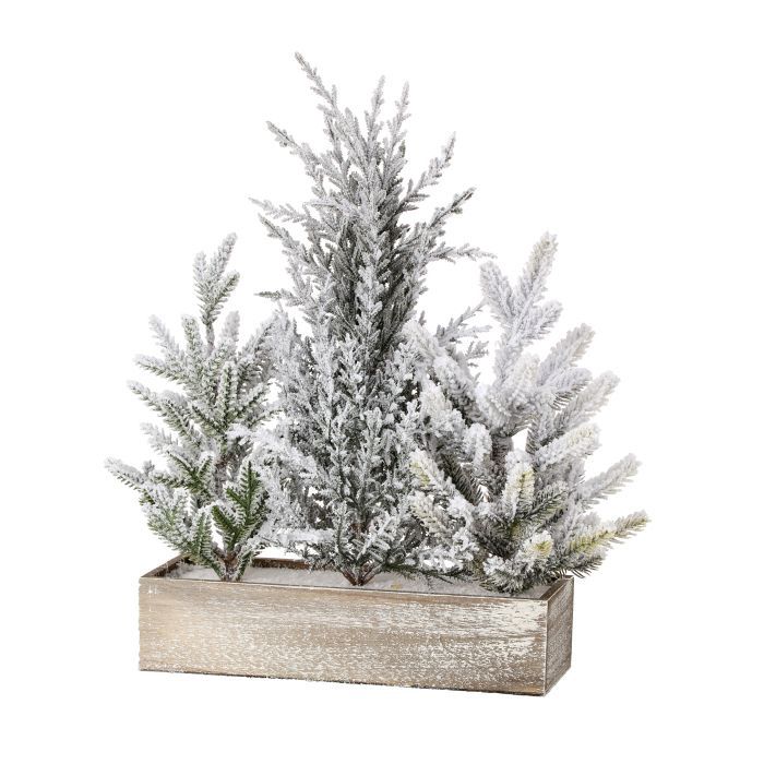 Tree, 16&quot; Frosted Triple Tree Grove in Wood Box