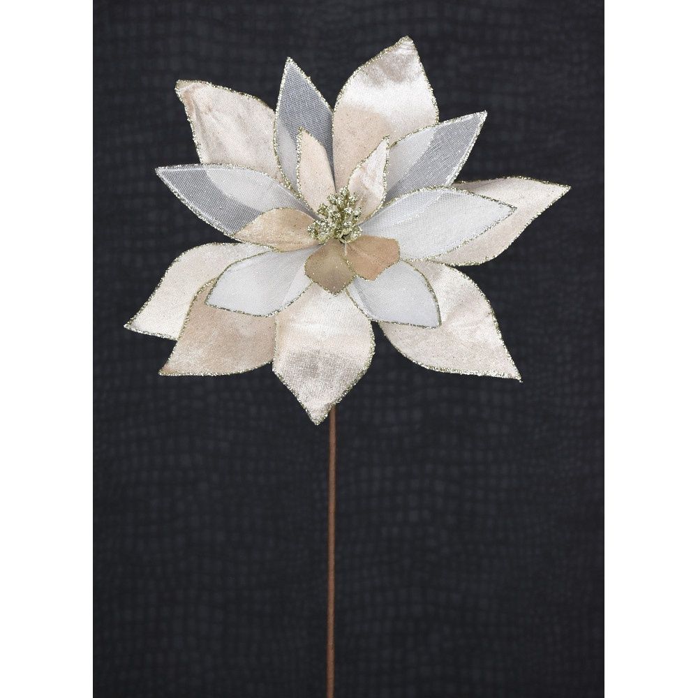 Poinsettia, Satin Sheer Champagne 22"