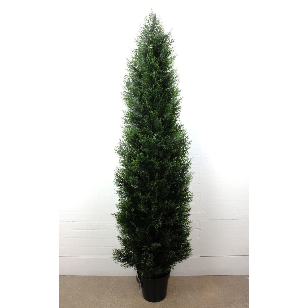 Tree, 72&quot; Cedar Potted