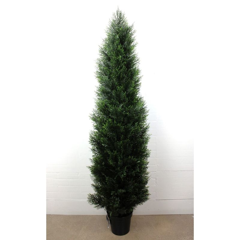 Tree, 72&quot; Cedar Potted